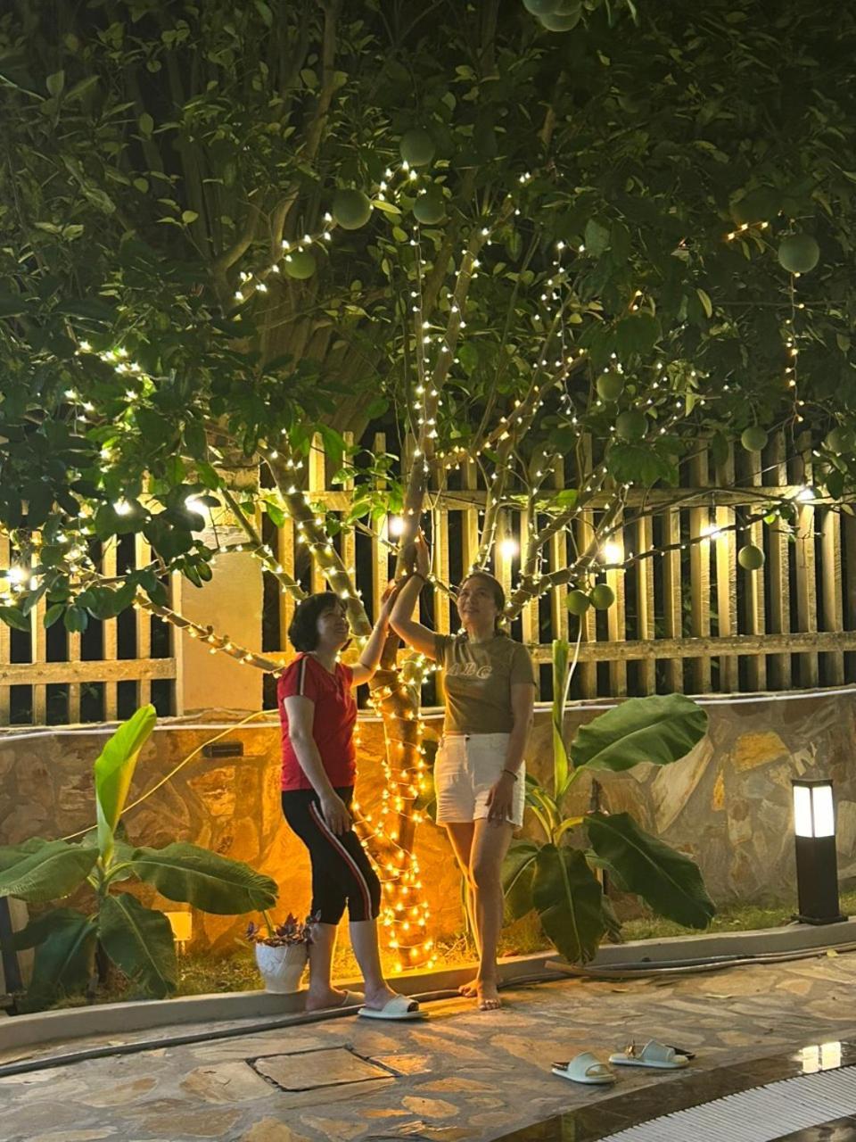 Hosu Hà Nội